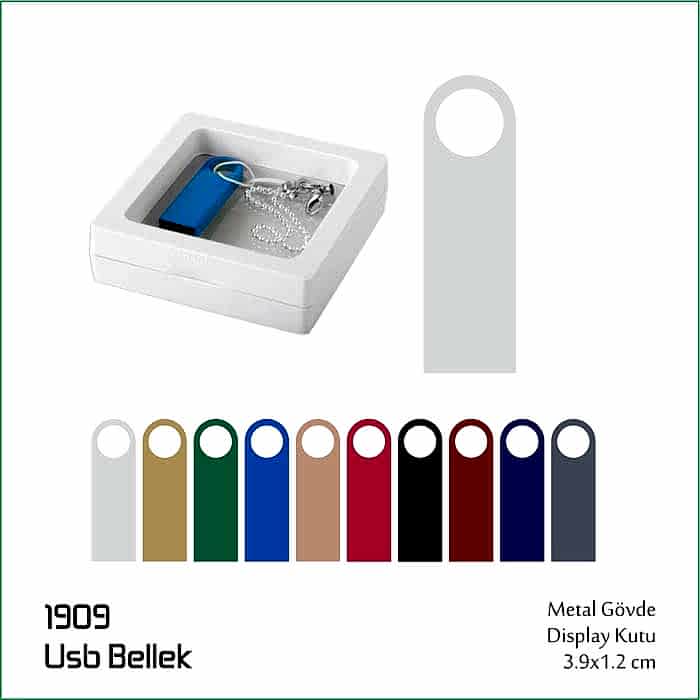 1909 USB Bellek